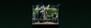 Paludarium