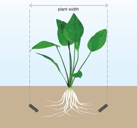 ADA Aqua Soil Malaya und Africana - Ein Teil Natur für das Aquarium