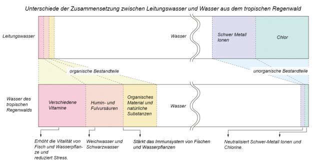 Biologisches System der Gewässer des Regenwaldes