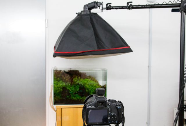 Foto-Setup mit entfesseltem Blitz samt Softbox.