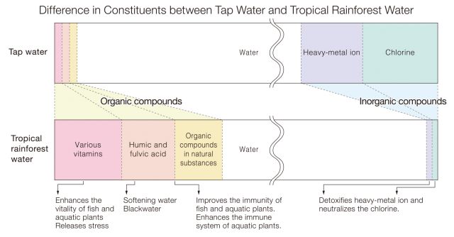 comparision of blackwater and tabwater