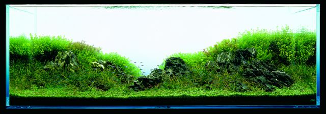 ADA - Nature Aquarium Suikei Gallery 3 tank 3