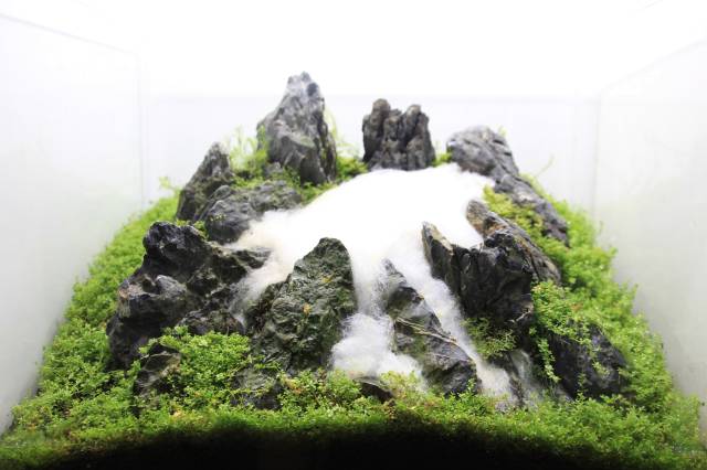 Creating A Three Dimensional Layout With A Pronounced Sense Of Depth Aquascaping Wiki Aquasabi,What Is A Vegetarian
