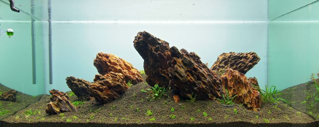 A newly decorated aquascape.