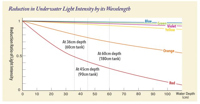 ADA - light intensity diagram