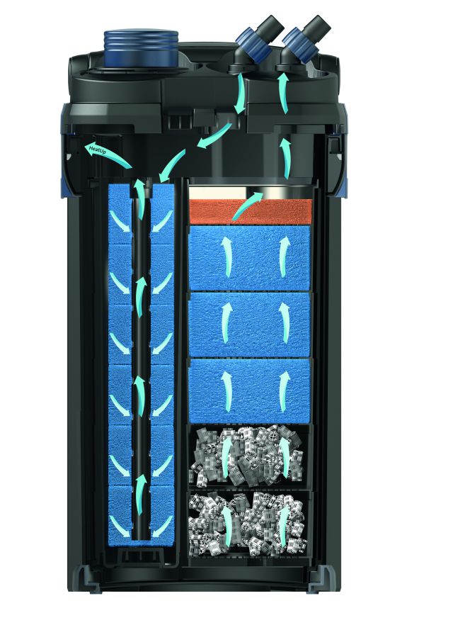 BioMaster cross section