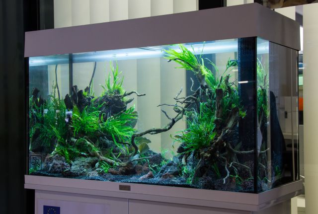 Aquarium mit Abdeckung