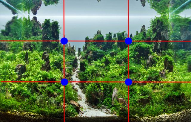 rule of thirds grid