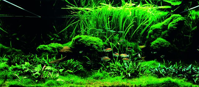 Let´s start with Q: Layout Conception -, Aquasabi