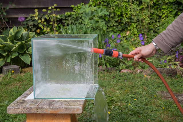 Aquarium Reinigen Scheiben