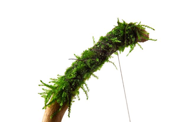 Attaching Christmas moss with thread