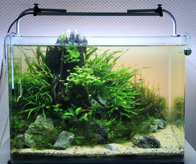 35L Aquarium Fish Tank Nano Small Coldwater Tropical LED Lighting Black White 