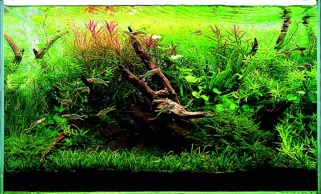 SWQ dekorativer Sandscape 3