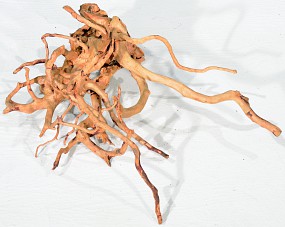 ADA Branch Wood