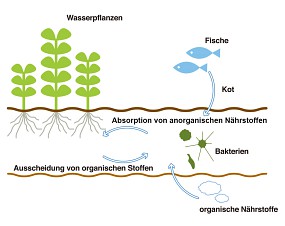 ADA Substratsystem