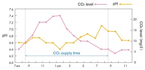 ADA CO2 60 cm Becken