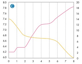 ADA leeres Becken Chart