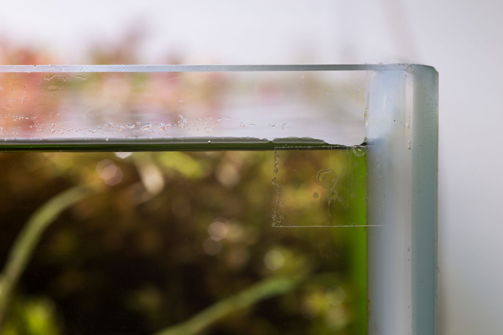 Aquarium: Verdunstetes Wasser nachfüllen - Aquascaping Wiki | Aquasabi