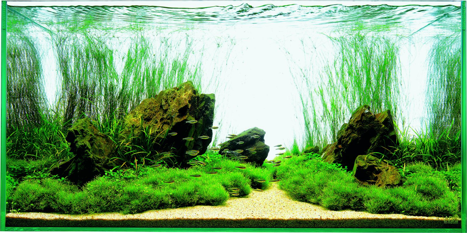 Let´s start with Q: Choosing a tank -, Aquasabi