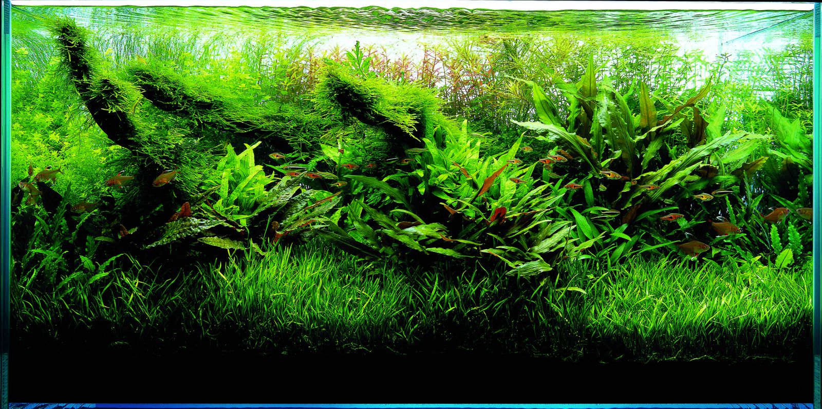 www.aquasabi.de