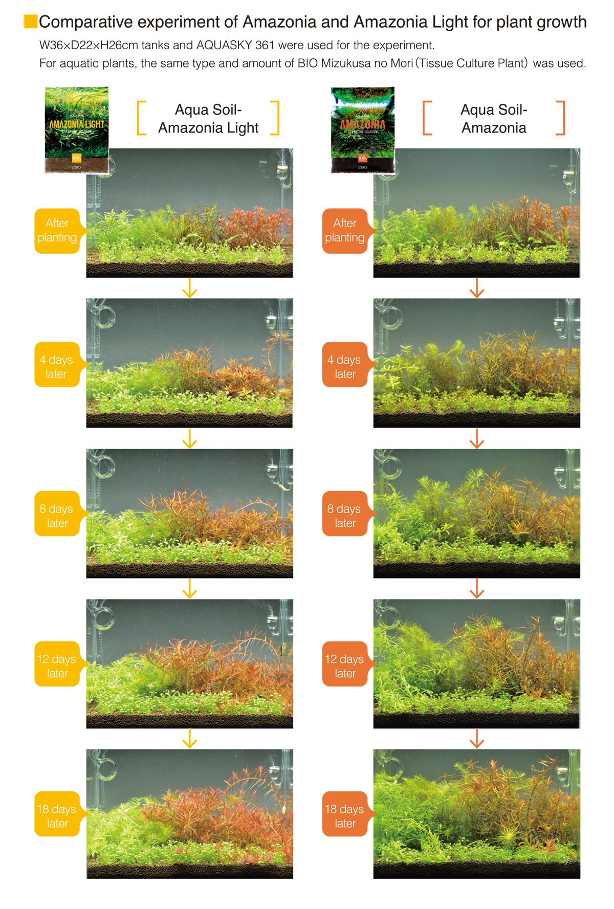 Wuchsvergleich beider Amazonia Soils