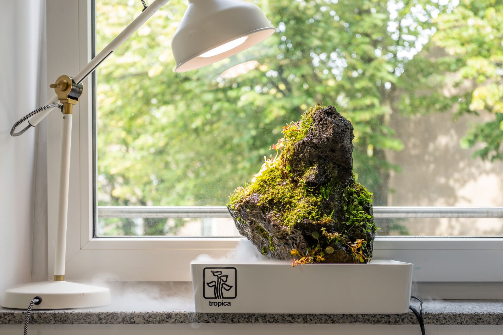 Wabi Kusa由Aquaowner