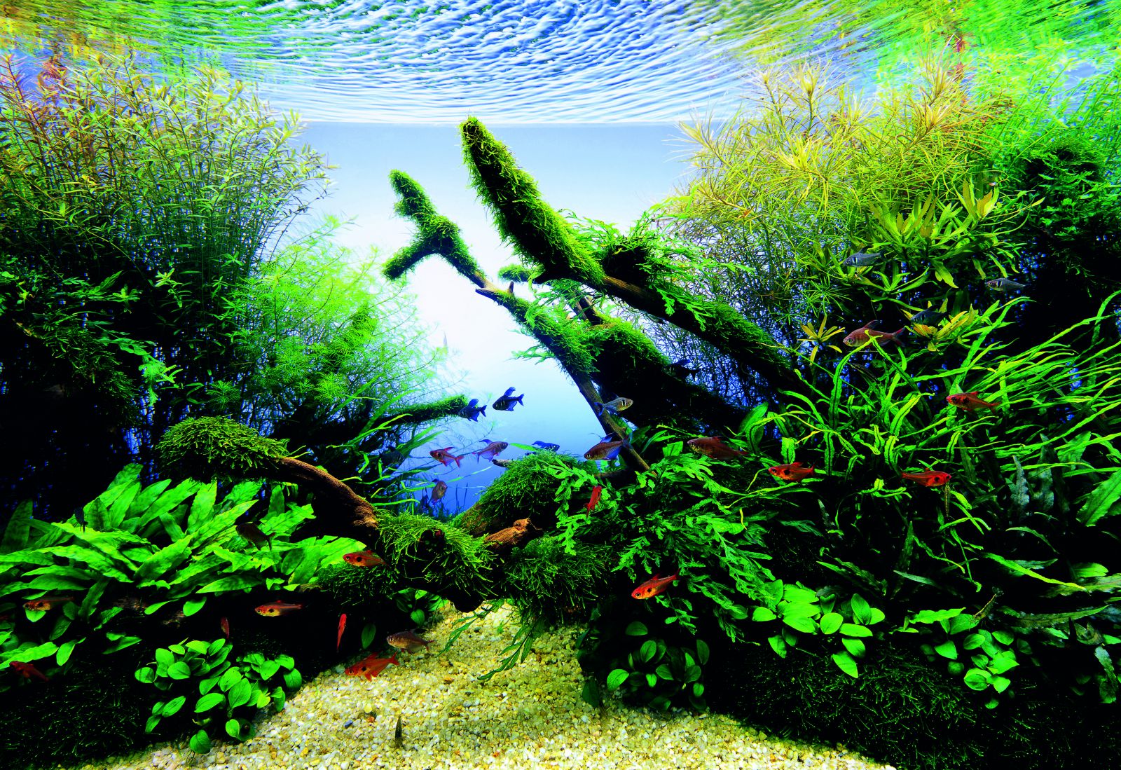 Let's start with A: Lighting -, Aquasabi