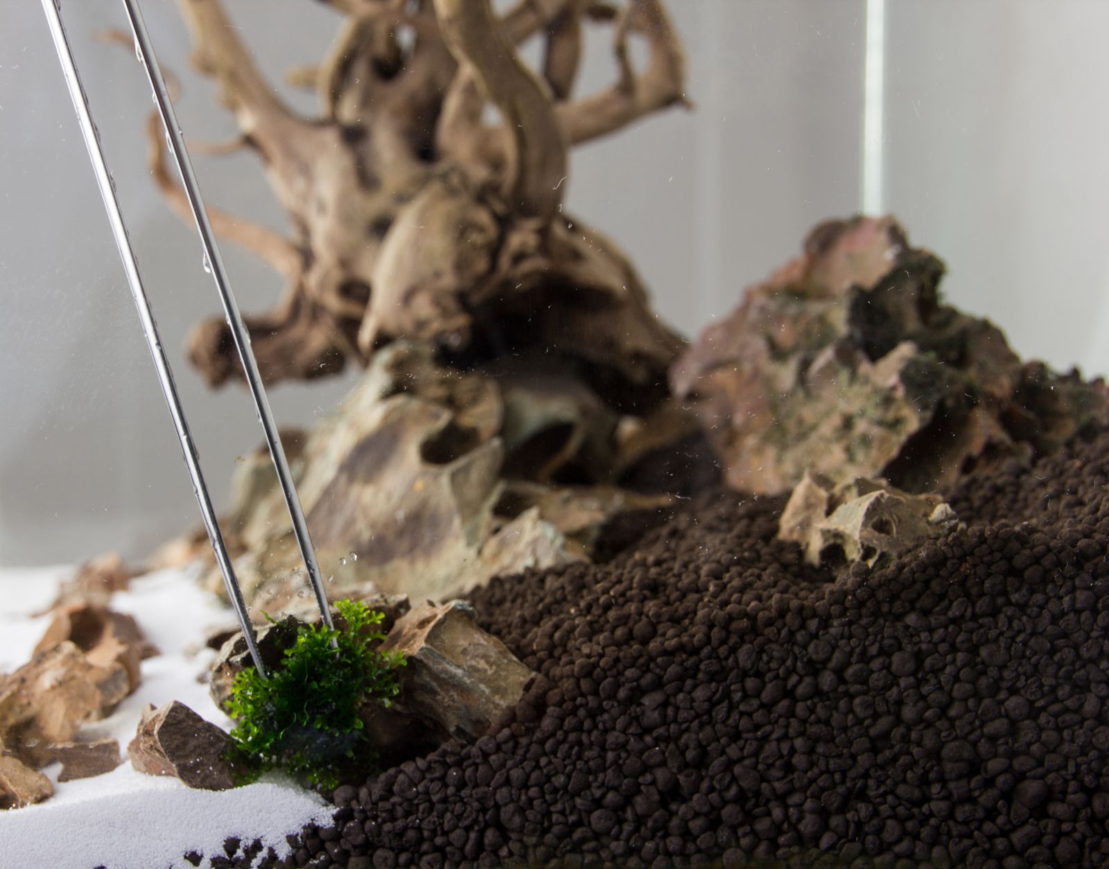 Sand and soil Aquasabi Aquasabi Aquascaping Shop