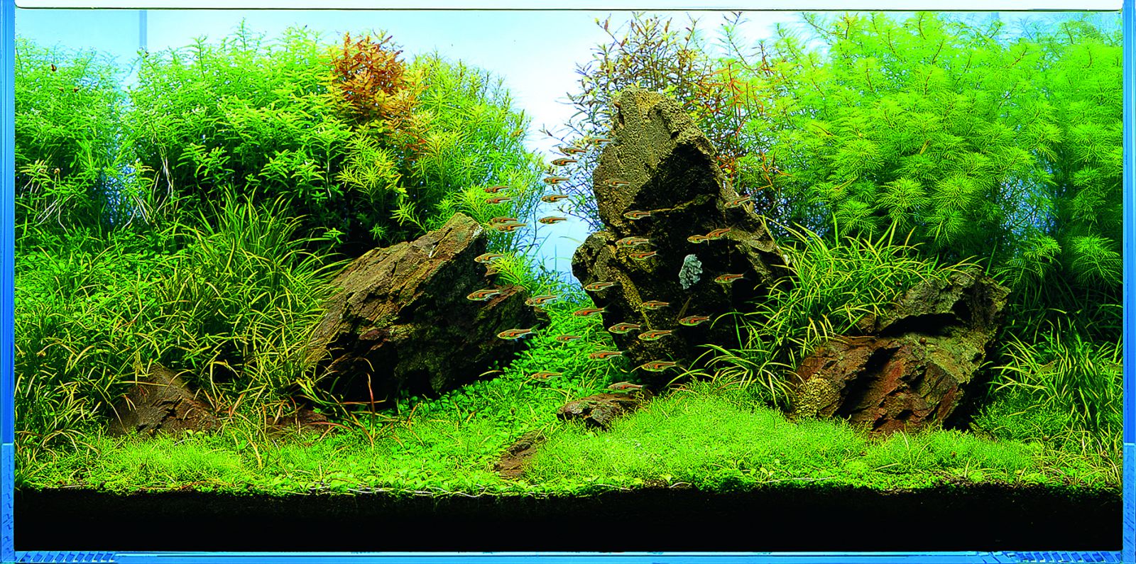 EHEIM - SUBSTRAT - 1 l  Aquasabi - Aquascaping Shop