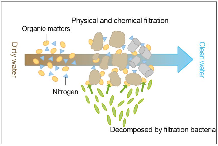 Let's start with A Filtration Aquasabi Aquasabi Aquascaping Shop