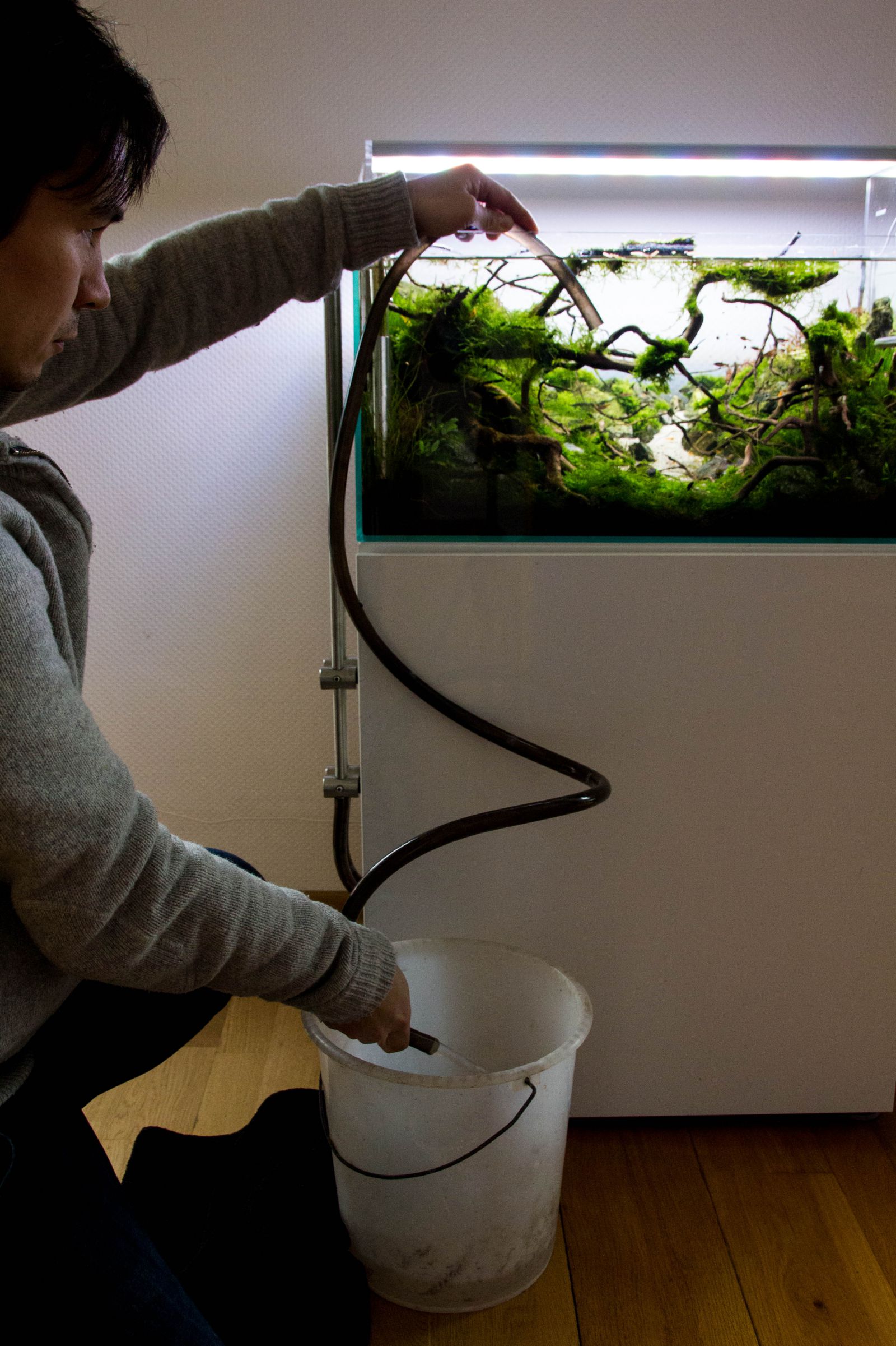 Wasserwechsel Aquasabi Aquasabi Aquarium Shop