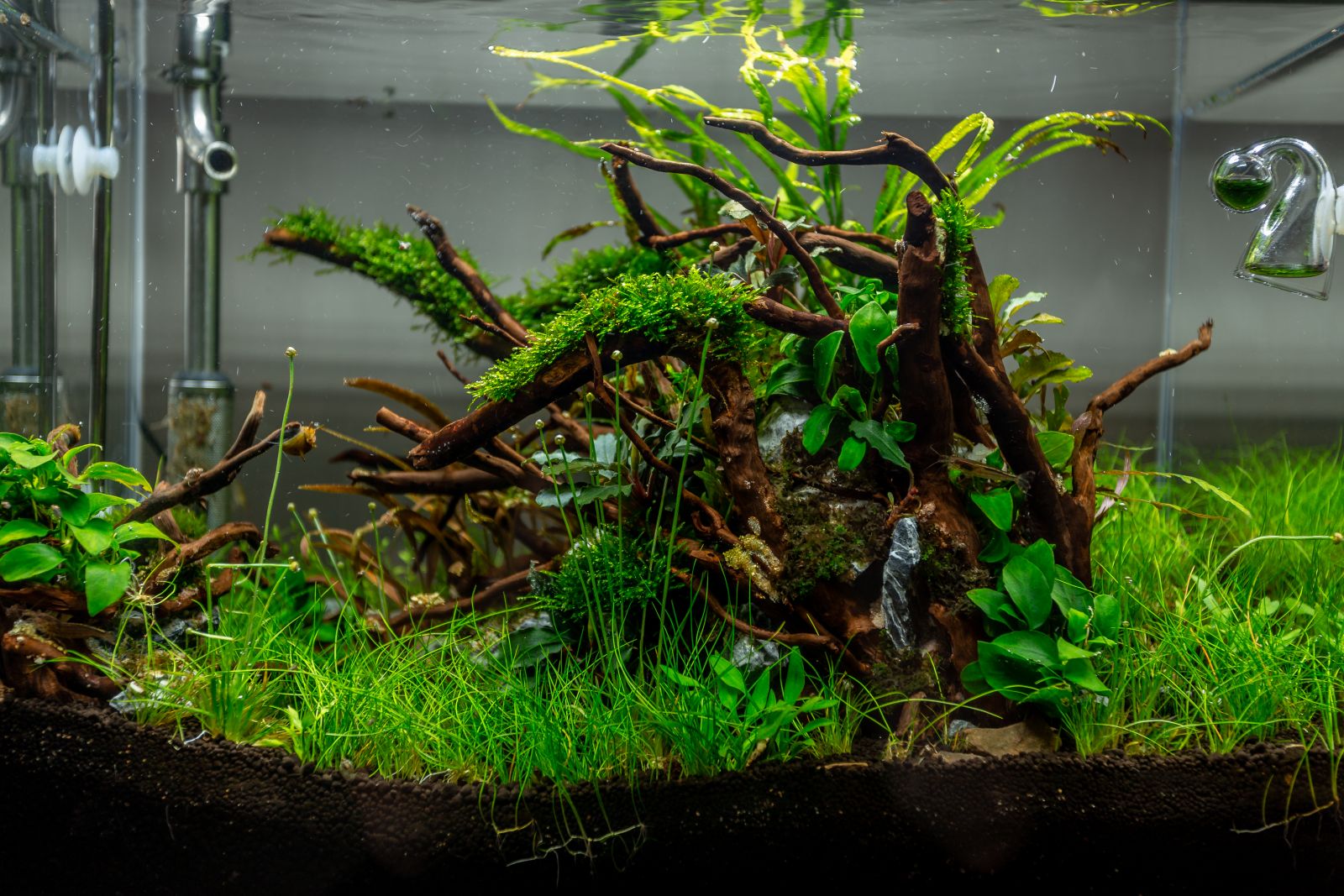 水族馆布局由AquaOwner