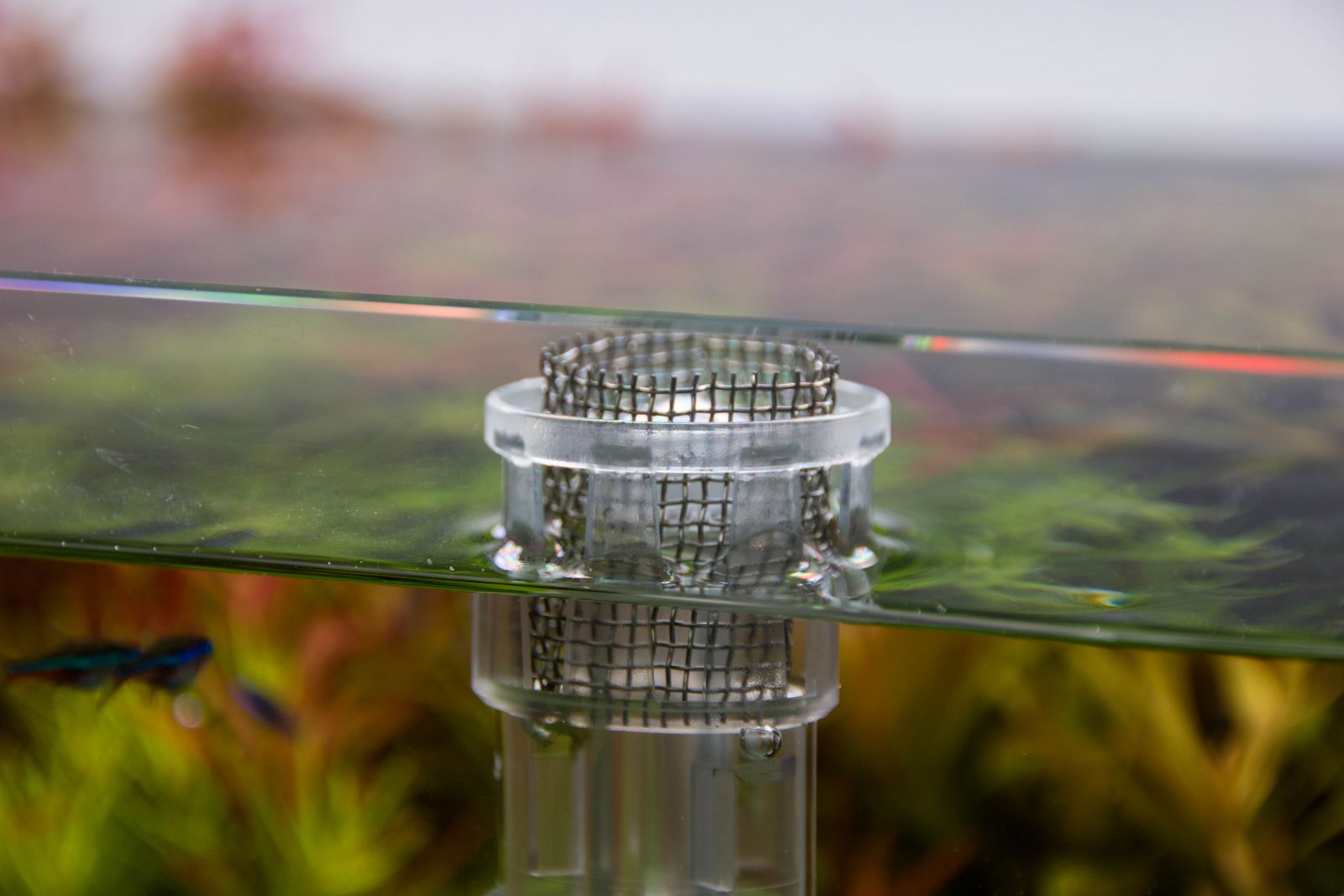 Making the filter shrimpproof Aquasabi Aquasabi Aquascaping Shop