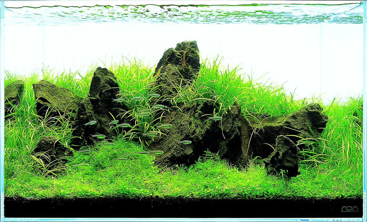 JBL - StartKit  Aquasabi - Aquascaping Shop